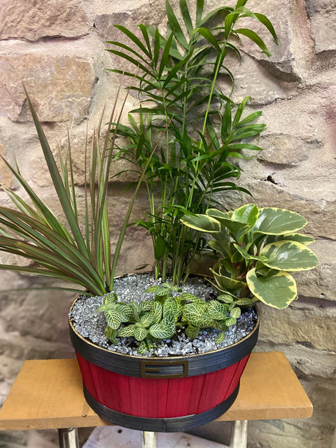 Festive Santa Tropical Basket